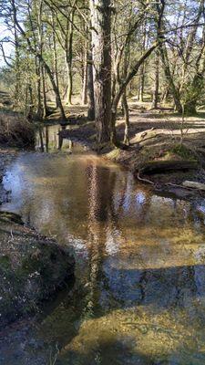 Valerie_Pratt's profile picture. 