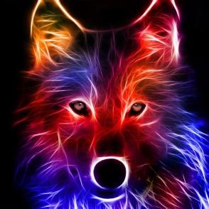 JAKE_MACRAE21's profile picture. ❕❕❕