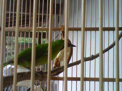 Orang berkulit hitam,putih,kuning air matanya sama Asin.