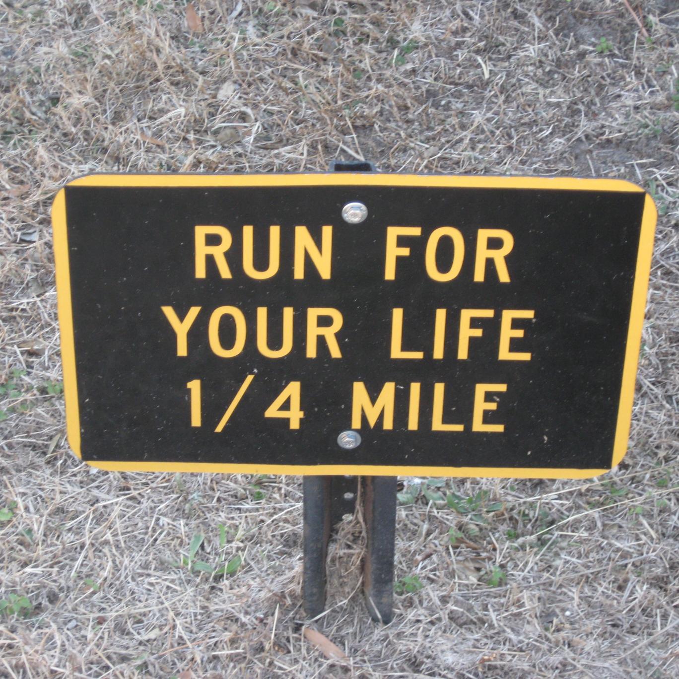 BamSeans's profile picture. 