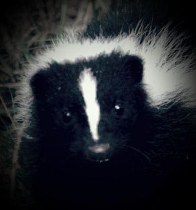 WangGurim's profile picture. ㅋㅋㅋ