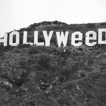 Grower, seed collector, strain hunter Hash Maker
free the weed
 anarchist NO fath in politics its BS 
Wickr if you know you know 👊💯