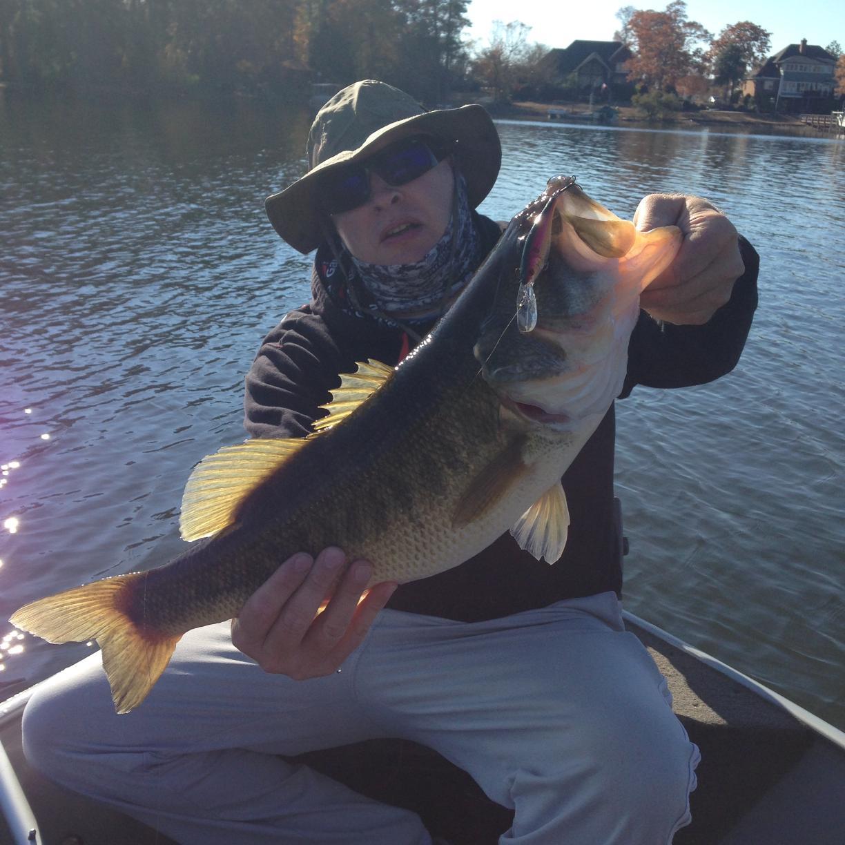 F3Shakespeare's profile picture. 