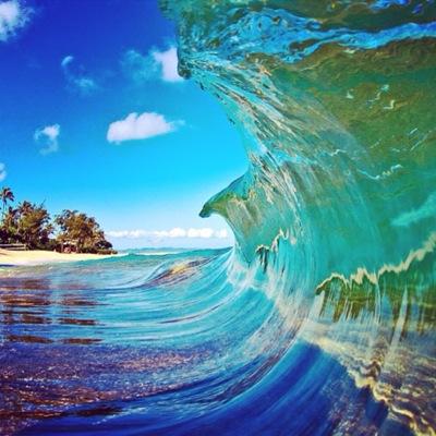 Fifacppinkslips's profile picture. 