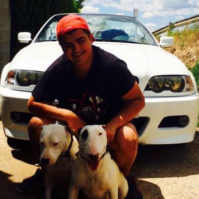 aleix_rueda's profile picture. 