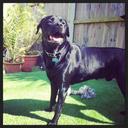 Donna Friday - @Dorsetbaby - Twitter