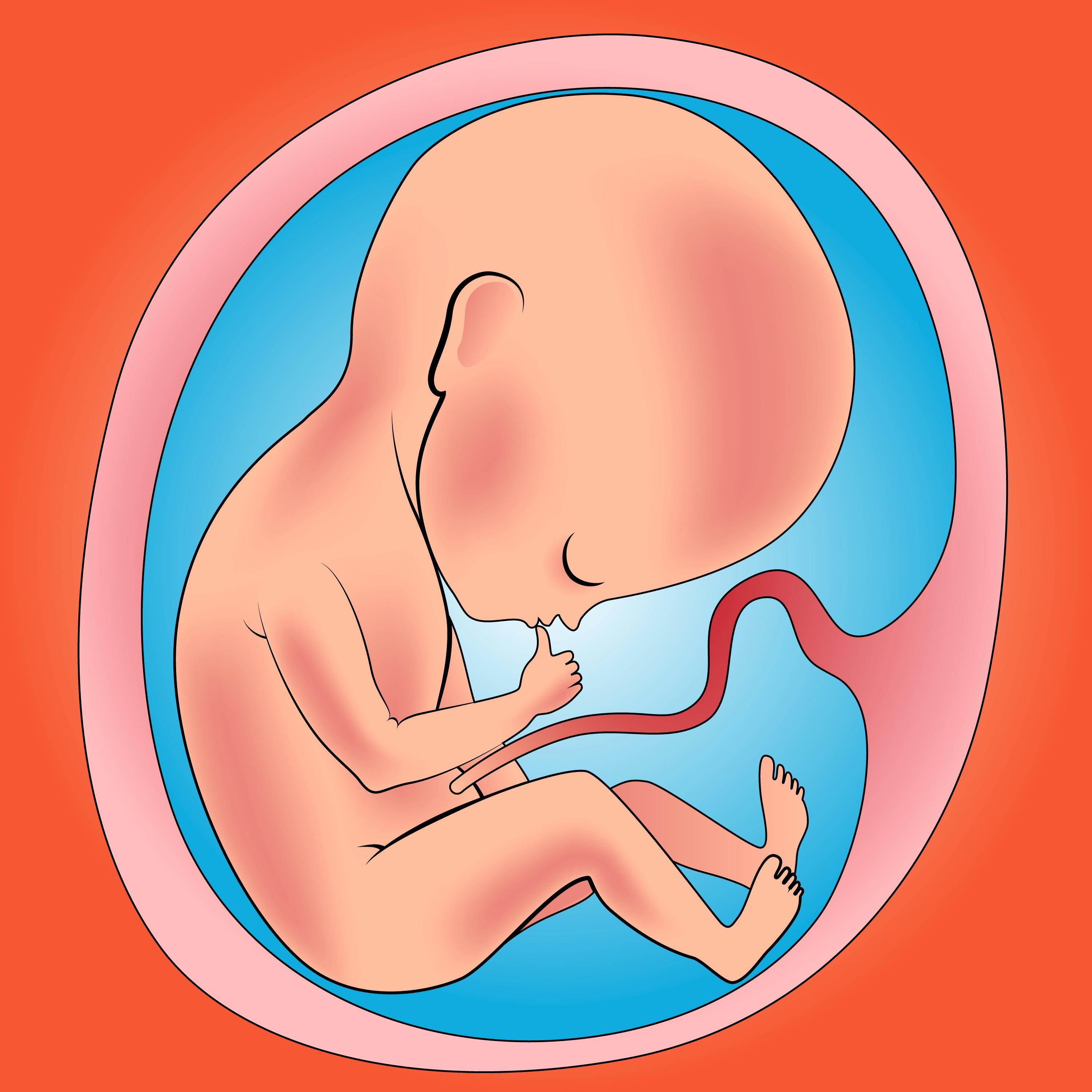 Esperando con mucha ansiedad a mi primer #bebe.  Que nervios!