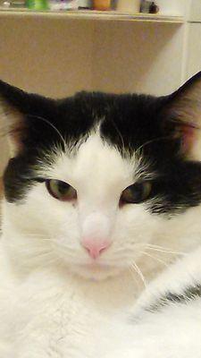 CarPjs74's profile picture. Ремонт авто