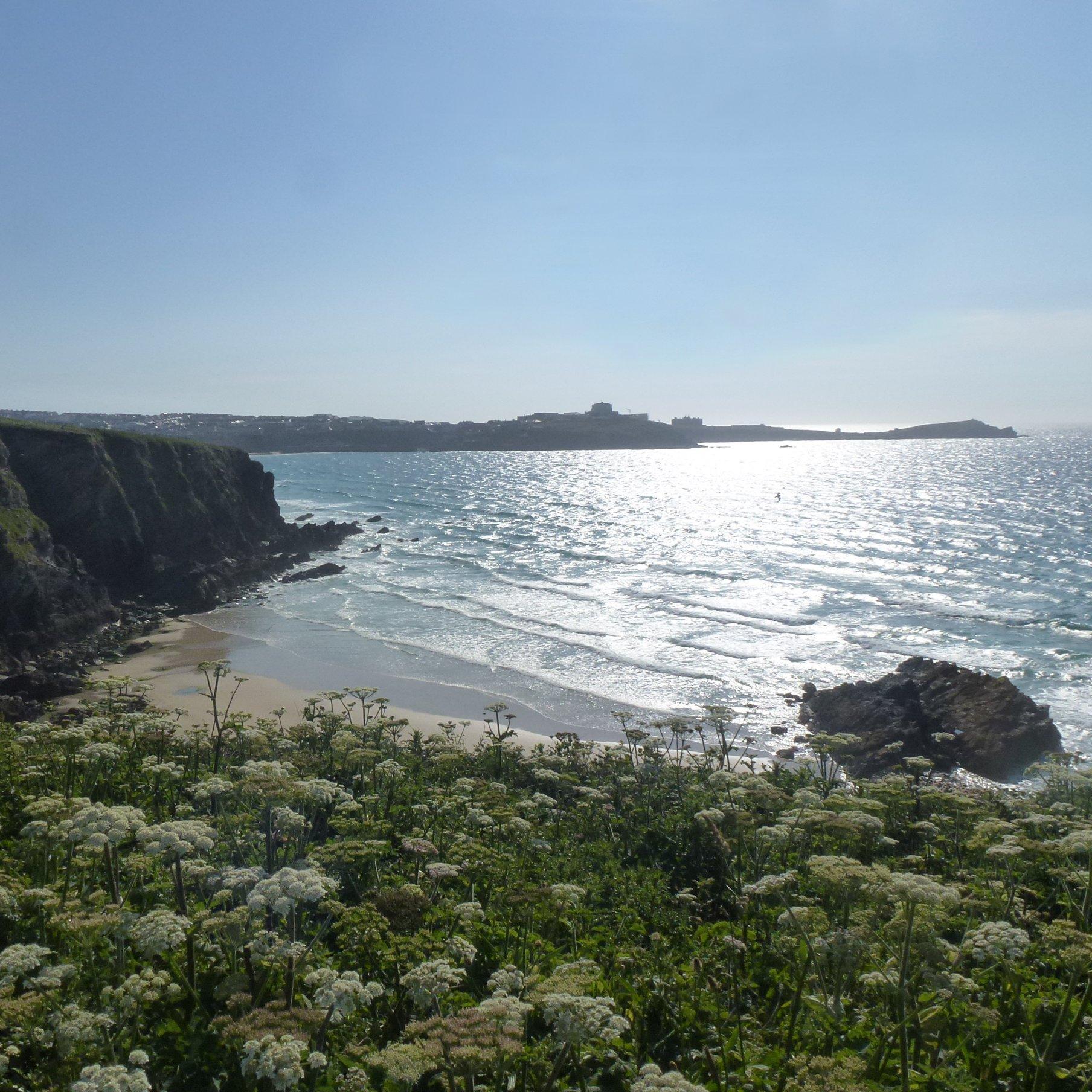 NEWQUAY SOCIAL @NewquaySocial @NewquaySG @CornwallSG @SG_Holidays #Newquay #Cornwall