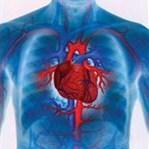 fat_fellrunner's profile picture. 