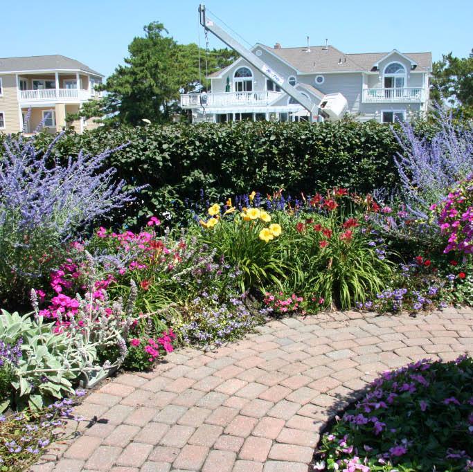 reynlandscaping's profile picture. 