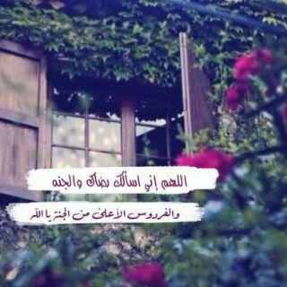 ‏‏يا الله جدّدني من كُل شيء ، طهرني من بؤس الحياه وأبعدني عن كُل طريق لا يؤدي بي إليك ، أسقنِي الرضا واغمر قلبي بمغفرتك .