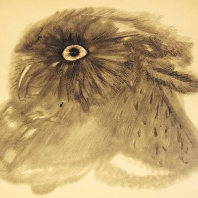 suzijean95's profile picture. I am an inspiring artist/model! I would like to try modeling out! Any model/drawing and  painting artists follow me!