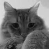 WalkerLeeWrites's profile picture. Sometimes I write pretty boys having pretty problems...and sex.  Other times, I stare at a blank screen and weep.