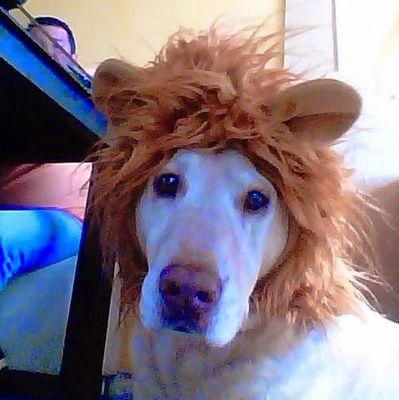 cristia94569992's profile picture. 