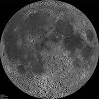 Wayne likes all things that are cyclical and predictable. Earth Science. Cosmology. Human Enterprise.