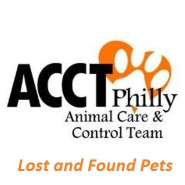 Committed to helping Philly pets find their families! Share your lost pets & found strays! ACCT Philly 111 W. Hunting Park Ave. 267-385-3800 lost@acctphilly.org