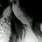 Ivette2901's profile image
