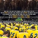 Derek Senn - @iamsennsenn - Twitter