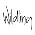 Wildling Magazine (@wildlingzine) Twitter profile photo