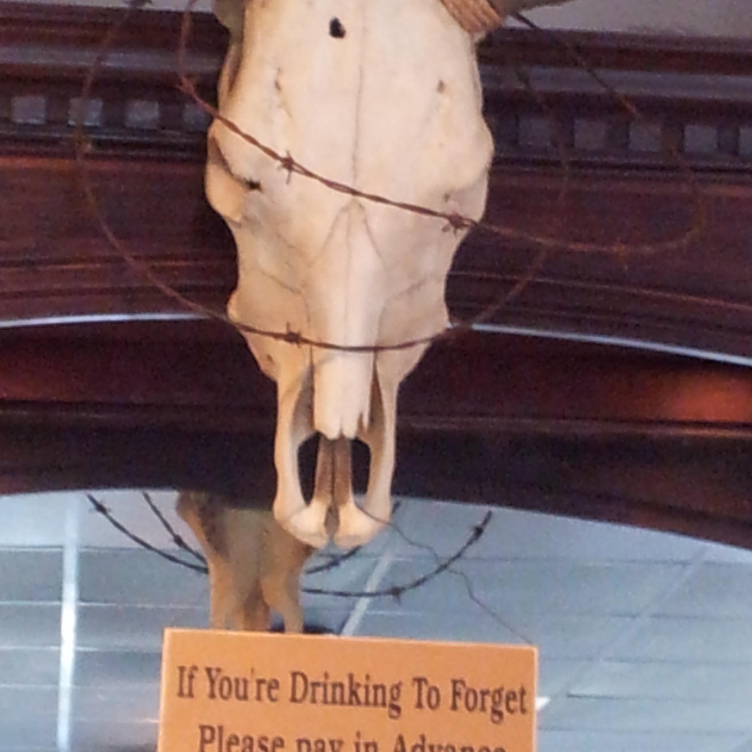 TheMagique's profile picture. God fearing, love my country, fight to the death conservative detest libs & Obama! Love horses,bullriding, brahmas. LOVE LOVE HOOCHI, tasty Lil C'T0es & Texas!!