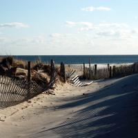 Jennifer Ray Beckman (@jlrbeckman) 's Twitter Profile