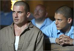 QuotingPB's profile picture. Quoting Prison Break non stop! ♥                   COULD CONTAIN SPOILERS!                               Bring Back Prison Break! ✌
