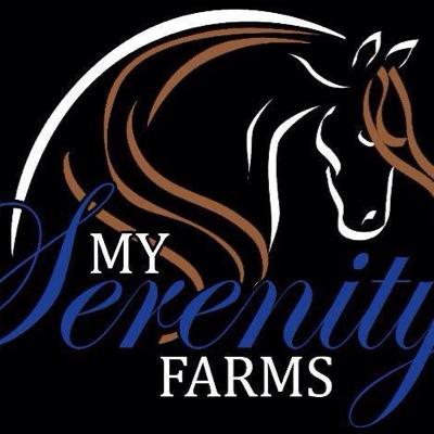 My Serenity Farms is dedicated to teaching all levels of horsemanship, Hunter Jumpers and Equitation.  offering quality training and sale horses. Alpharetta, GA