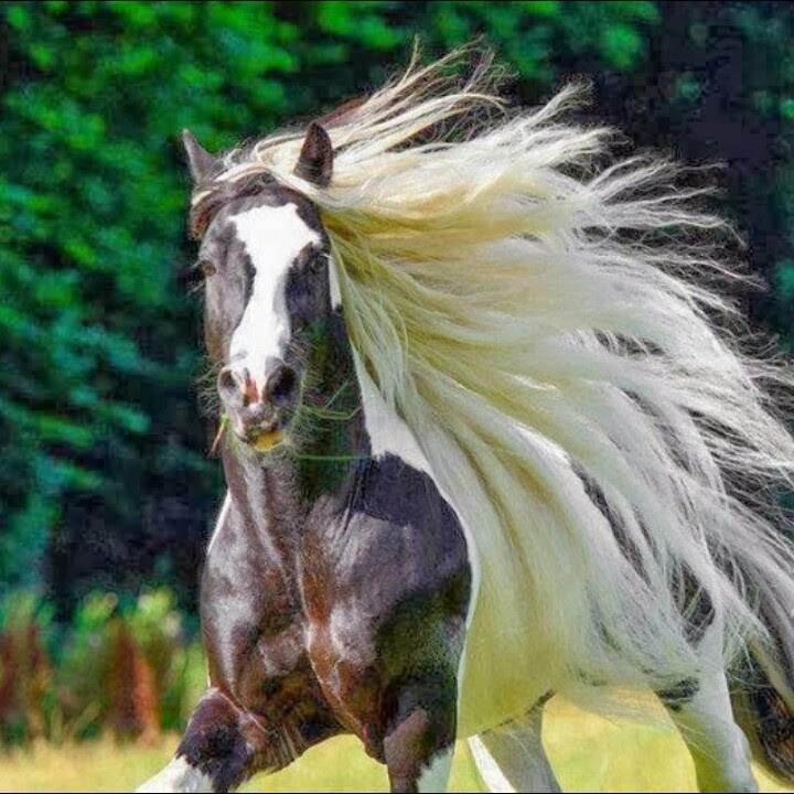 nantsosie's profile picture. 