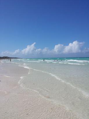 chems625's profile picture. 