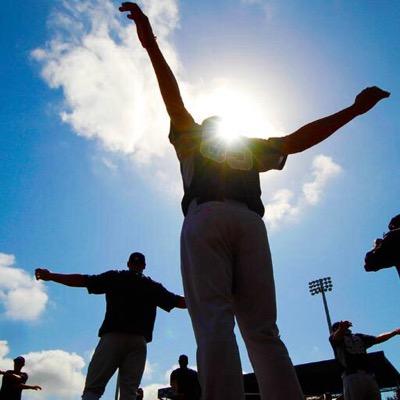 Nothing but Baseball