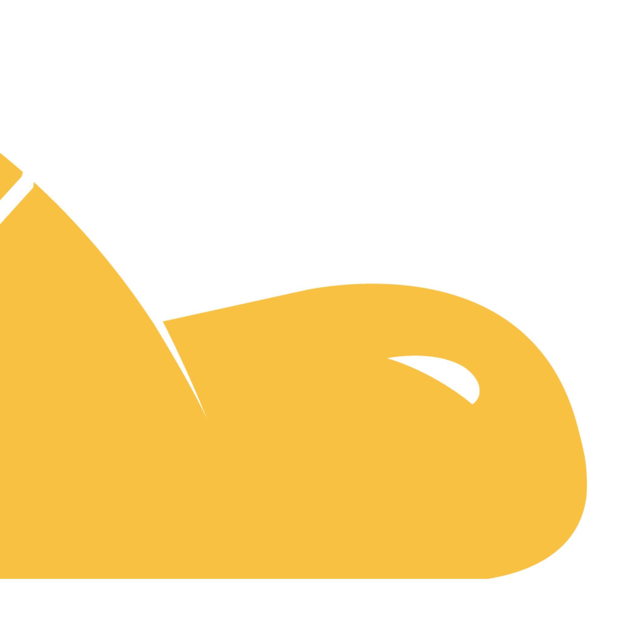 RapidTurtleNZ's profile picture. 