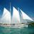 yusuf_renew's profile image