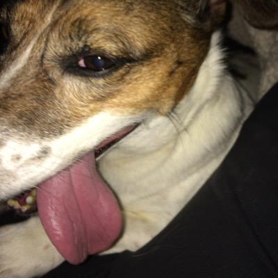 sdhiller's profile picture. 