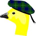 Marion Johnston - @thescotsgosling - Twitter