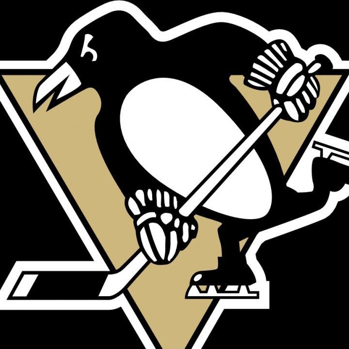 I play hockey