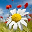 Ana Nikolić - @nikolic_sd - Twitter