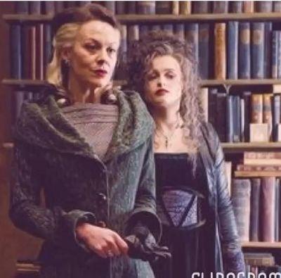 HbBayman's profile picture. helena bonham carter johnny depp emma watson jennifer lawrenece shailene woodley theo james ansel elgort mega fandom fangirl. HEFORSHE WOMENS RIGHTS