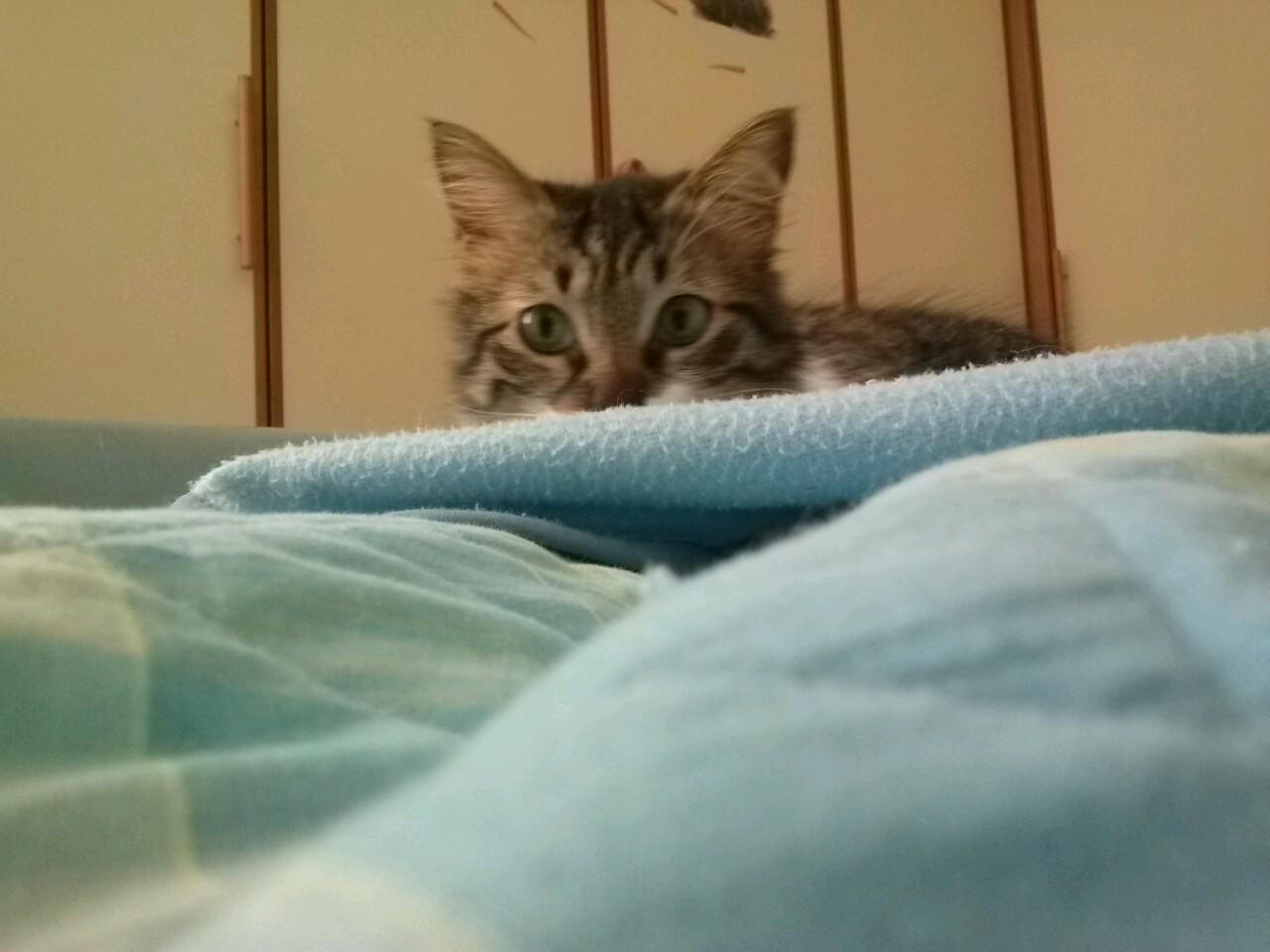 lillybetty35's profile picture. 