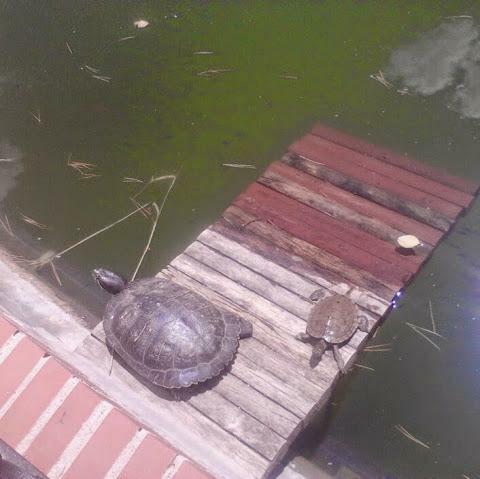 atx0077's profile picture. 