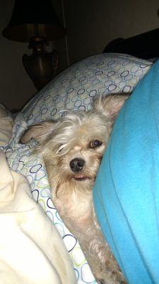 JohnSie67346664's profile picture. 