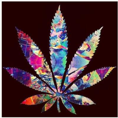 Im Blunt & Stay Blunted