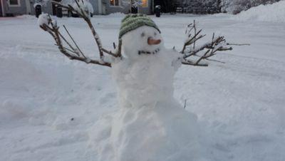 ProfPatrik's profile picture. Professor i historia och föreståndare vid Vaartoe - Centrum för samisk forskning vid Umeå universitet