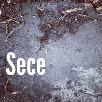 Sece (@secemusic) 's Twitter Profile
