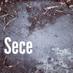 Sece (@secemusic) Twitter profile photo