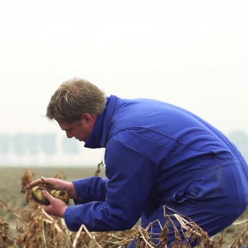 _knookie_'s profile picture. 