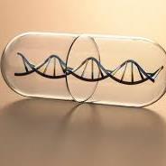 genehealth's profile picture. Providing natural gene nutrition.