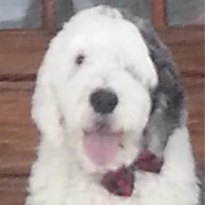 EcksteinRoland Profile Picture