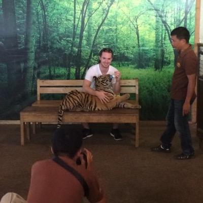 GingyBreadMan17's profile picture. 