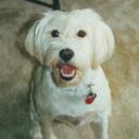 Robert Lang - @robertlang12163 - Twitter